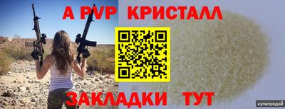 индика Славгород