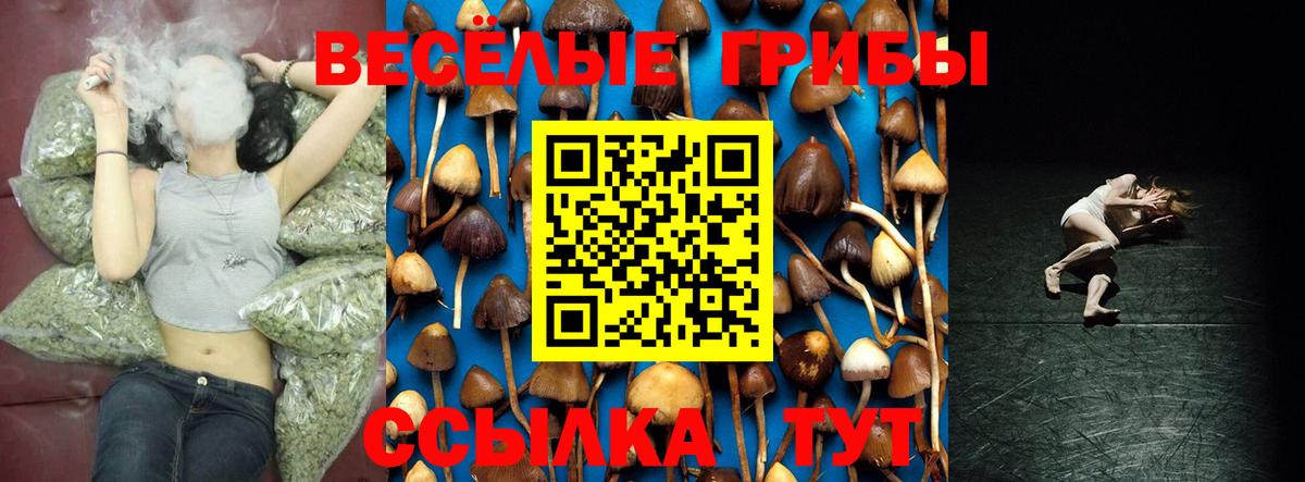 Alpha PVP Нальчик