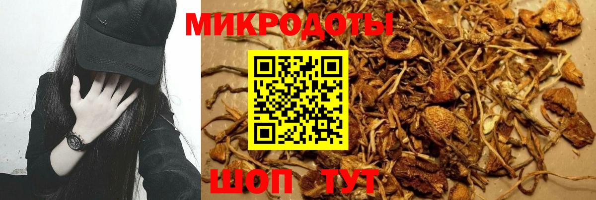 Галлюциногенные грибы прущие грибы Нальчик