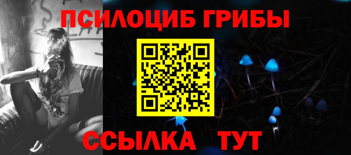Нальчик  Галлюциногенные грибы Psilocybine cubensis  Вход с VPN 